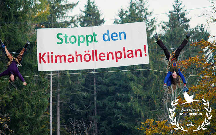 Von Menschen, die auf Bäume steigen