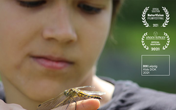Pepe und die Welt der Insekten