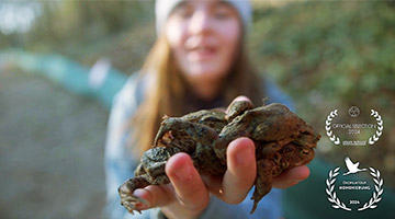 Rettung für Frosch, Molch und Kröte