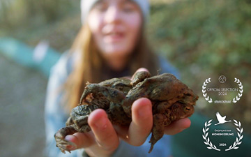 Rettung für Frosch, Molch und Kröte