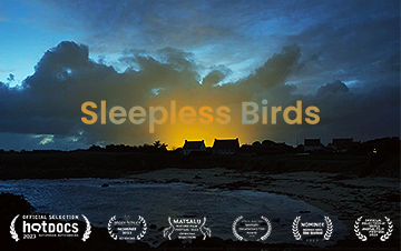 Sleepless Birds