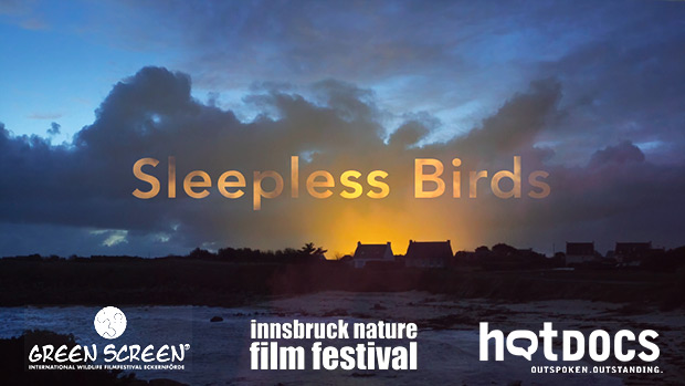 Sleepless Birds